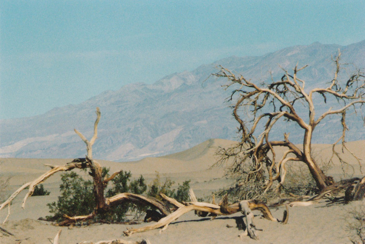 Death valley I, январь 2014