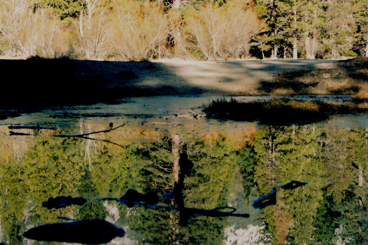 Оттепель, полоса льда (Yosemite valley, январь 2014)