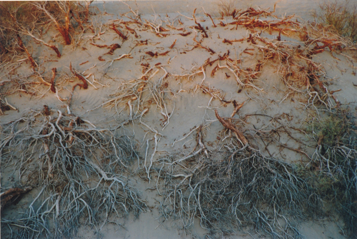 Красная пустыня III. Death valley, Sands Dunes, Закат