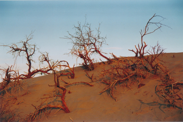Красная пустыня II. Death valley, Sands Dunes
