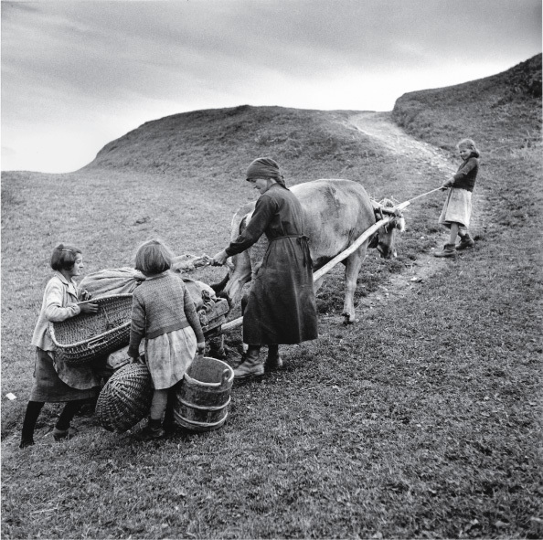 Тео Фрай - Перевозка картофеля в Оберзаксене, 1948