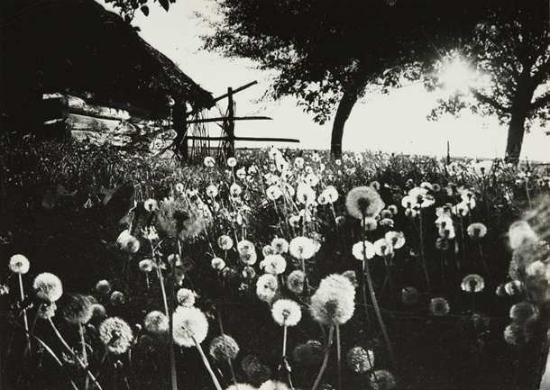 Евгений Козюля. На старом хуторе. Белоруссия. 1984